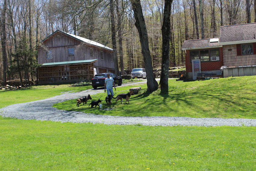 At GraceLand Farm, dogs frolic around Adam Guziczek.
